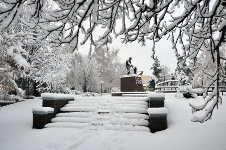 В ночь с 21 на 22 ноября Алексеевский и Красненский районы подверглись влиянию мощного снежного циклона